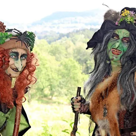 Appartement Schoene Fuer 6 Personen Erwartet Sie Im Oberharz Sankt Andreasberg